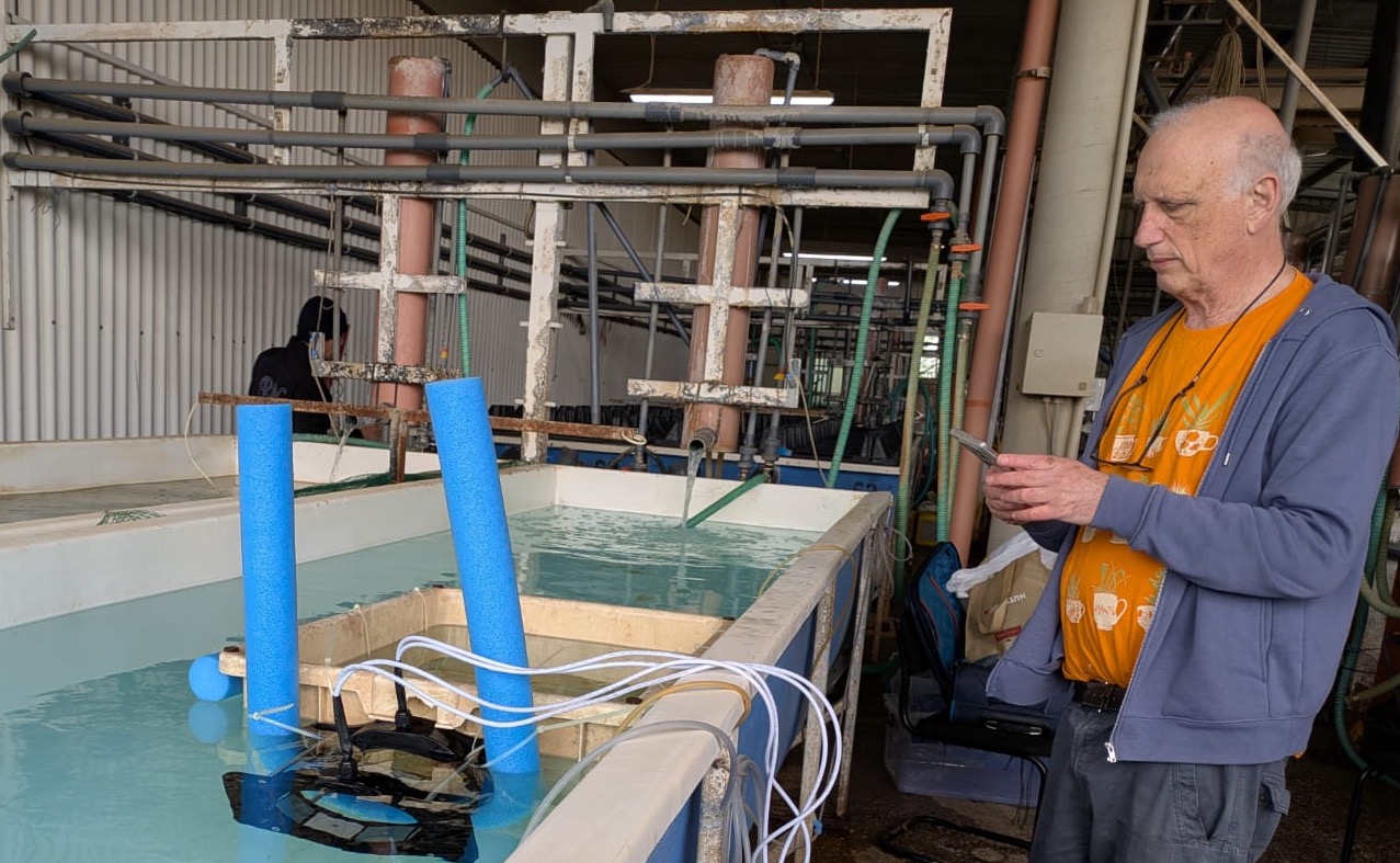 AquaSense sensor deployed at the ARDG fish pond